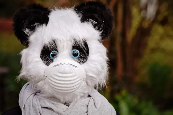 Stay Casino Kundeservice